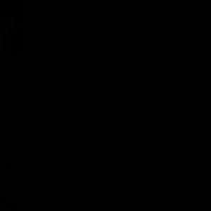 Meet your Posher, Aleeza